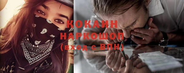mix Богородицк
