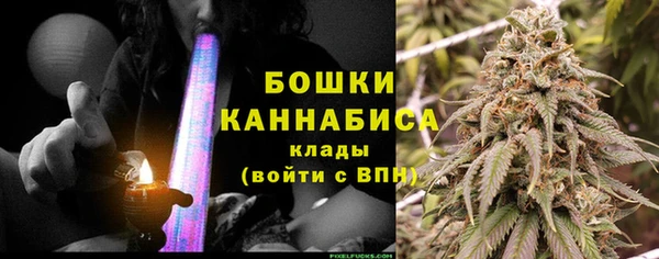 бошки Богданович