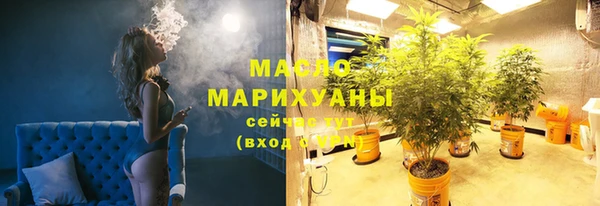 mix Богородицк