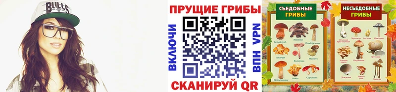 Галлюциногенные грибы мухоморы  наркошоп  Гусев 