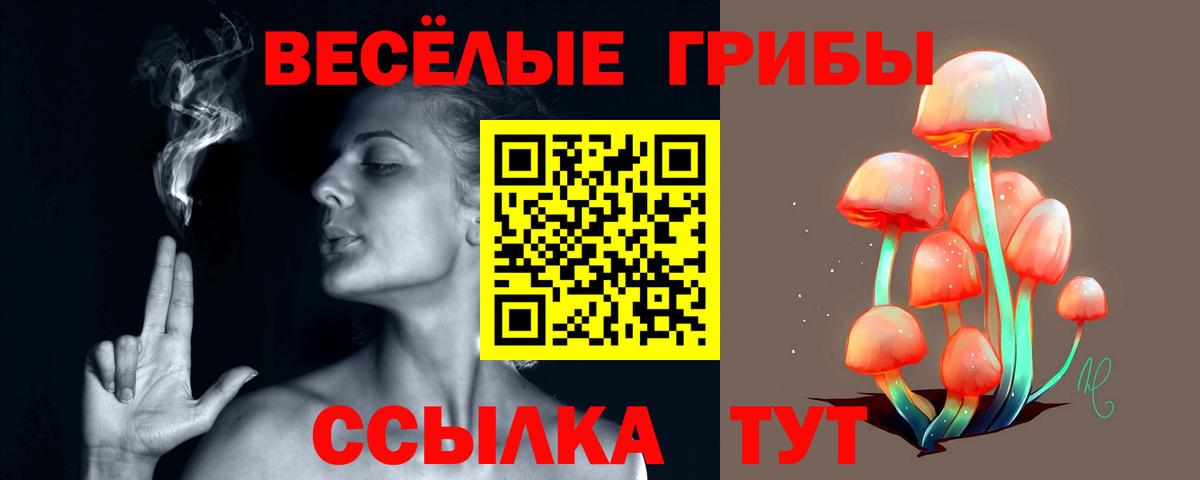Гусев  Галлюциногенные грибы Psilocybe  Вход с VPN 